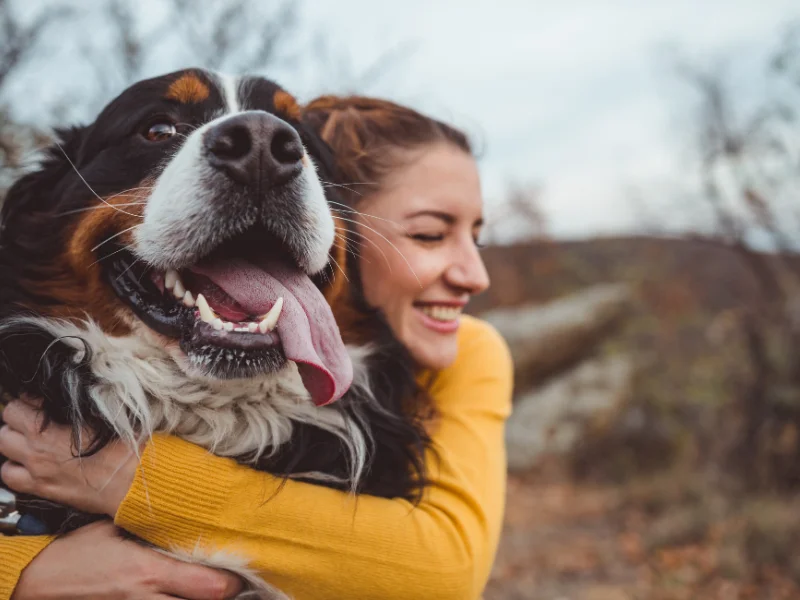 Interactuar con perros puede afectar positivamente a múltiples áreas del cerebro